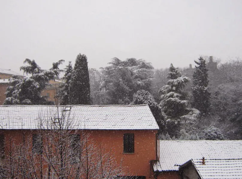 Bologna